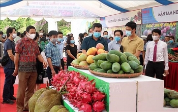 Sơn La: Nâng cao hiệu quả xúc tiến thương mại, kết nối cung cầu