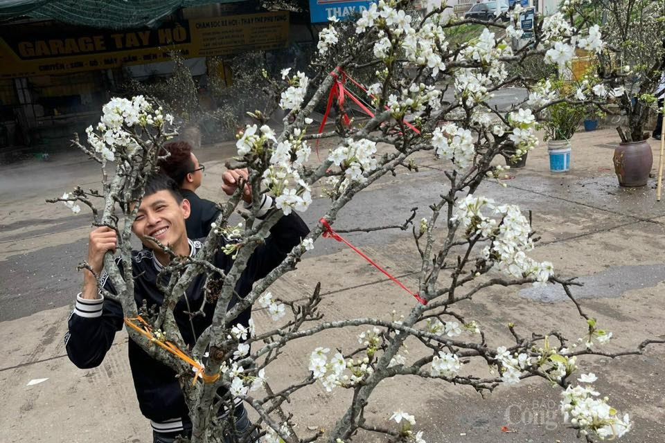 Lê rừng xuống phố, người dân Hà Nội thích thú đón Tết sớm Lê rừng xuống phố, người dân Hà Nội thích thú đón Tết sớm