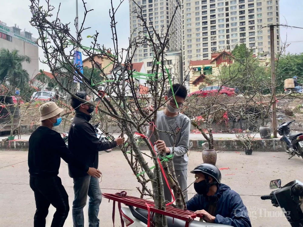 Lê rừng xuống phố, người dân Hà Nội thích thú đón Tết sớm Lê rừng xuống phố, người dân Hà Nội thích thú đón Tết sớm