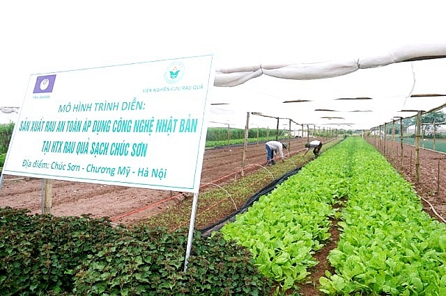 Hà Nội: Tập trung phát triển Kinh tế tập thể, HTX giai đoạn 2020 – 2021 ha noi tap trung phat trien kinh te tap the htx giai doan 2020 2021