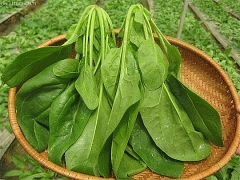 Thực phẩm giàu magiê giúp phòng ngừa đau tim thuc pham giau magie giup phong ngua dau tim