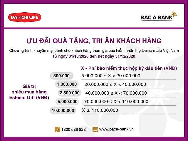 undefined 2735-ynh-2