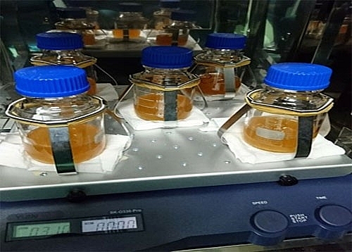 Các vấn đề pháp lý liên quan đến đổi mới công nghệ trong doanh nghiệp cac van de phap ly lien quan den doi moi cong nghe trong doanh nghiep