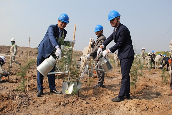 Tổng công ty Điện lực  TKV: Trồng 20 nghìn cây xanh to ng cong ty die n lu c tkv trong 20 nghin cay xanh