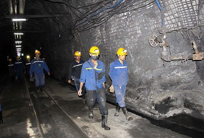 Chiến dịch sản xuất than: Hiệu ứng kép chien dich san xuat than hieu ung kep