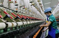 Hà Nội: 3 kịch bản xuất khẩu năm 2020