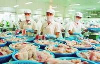 Nhiều tỉnh Đồng bằng sông Cửu Long: Xuất khẩu không giảm