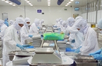 13 bo nganh va 35 dia phuong trien khai ke hoach thuc hien cptpp