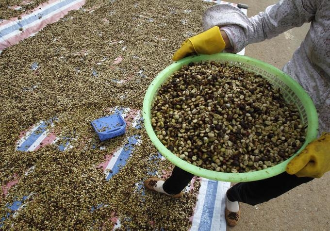 Vietnam March coffee exports seen falling