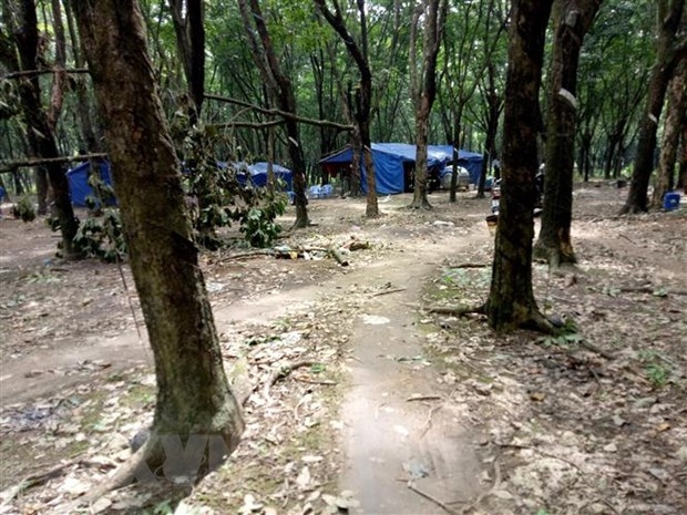 VRG taps 25,400 tonnes of latex in Cambodian province in 2018 vrg taps 25400 tonnes of latex in cambodian province in 2018