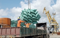 49 nhiệm vụ cho 10 bước tiến