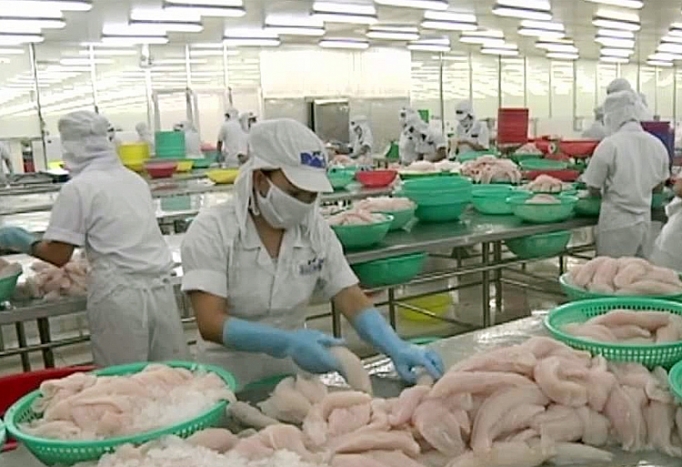 Bứt phá xuất khẩu - dễ hay khó? but pha xuat khau de hay kho