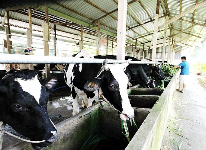 TP. Hồ Chí Minh sau 44 năm giải phóng: Nông thôn khoác áo mới tp ho chi minh sau 44 nam giai phong nong thon khoac ao moi