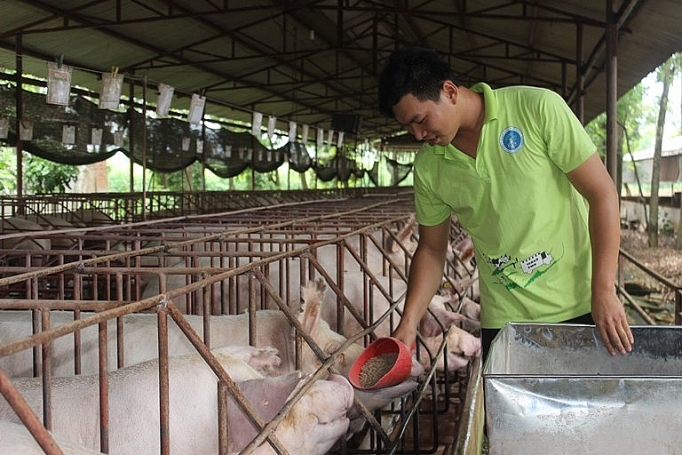 dong nai hinh thanh vung nuoi lon an toan sinh hoc