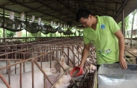 Đồng Nai: Hình thành vùng nuôi lợn an toàn sinh học