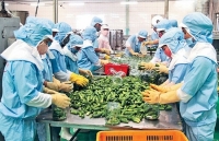 Xây dựng thương hiệu: Nhiệm vụ sống còn