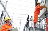 EVN: Ưu tiên sử dụng hàng hóa trong nước