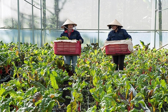 mm mega market viet nam muc tieu khach hang la tren het