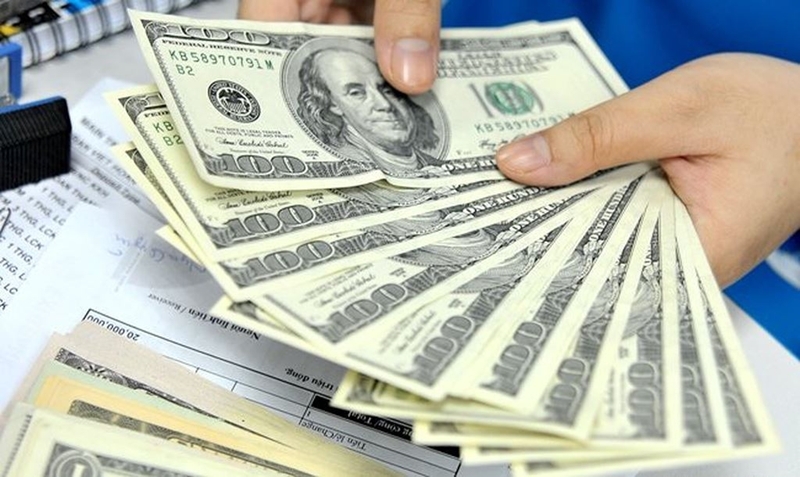 Foreign currency reserves hit US$68 billion in H1