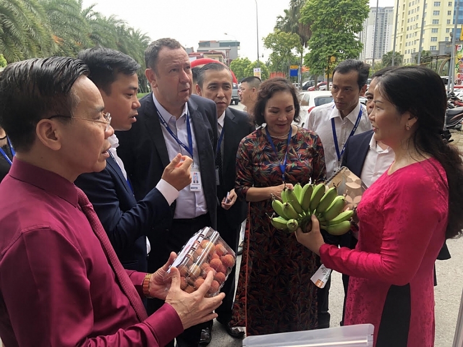 hanoi takes initiative in leading economic recovery
