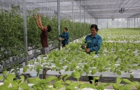 Phát triển hợp tác xã ở Hà Nội: Những đóng góp quan trọng