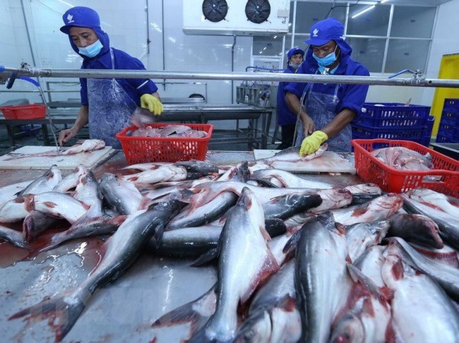 Vietnam qualified to export catfish to the US