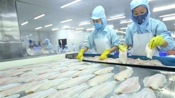 pangasius exports to us marker rocket in q3
