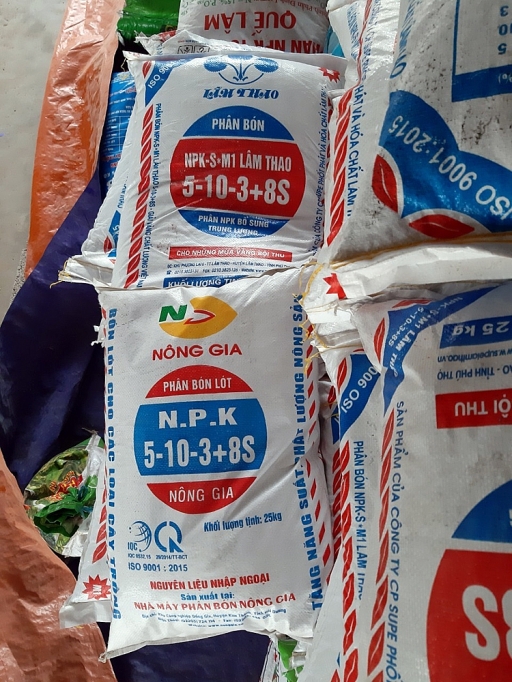 Supe Lâm Thao: Gian nan cuộc chiến với phân bón giả supe lam thao gian nan cuoc chien voi phan bon gia