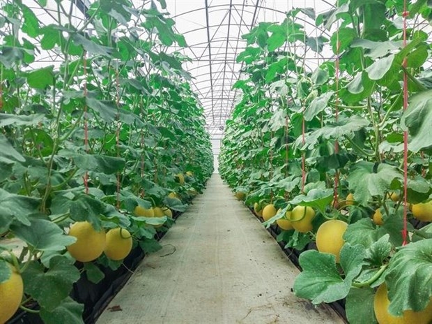 Ha Nam holds investment promotion event in RoK