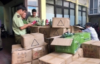 Lực lượng quản lý thị trường Hà Nội: Bước vào cao điểm kiểm tra, kiểm soát