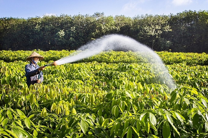 Bước phát triển đáng ghi nhận buoc phat trien dang ghi nhan