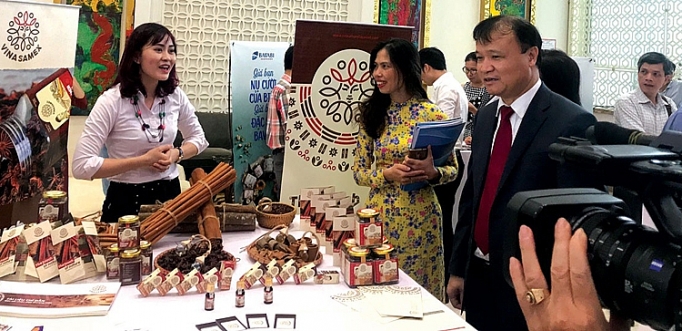 vinasamex tu tin vuon ra the gioi