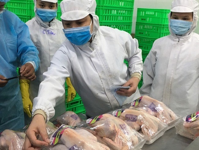koyu unitek to build factory to increase chicken exports