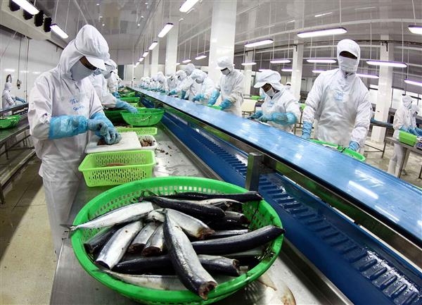 vietnam targets us 10 billion from aquatic exports in 2019