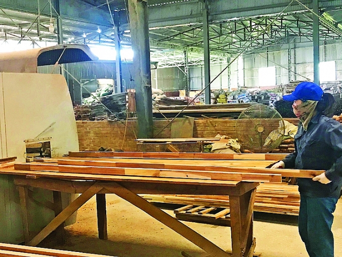 congtyco phan che bien lam san quangninh khoi sac nho di dung huong