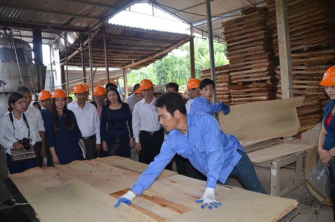 Đăk Nông: Điểm nhấn mô hình trình diễn kỹ thuật dak nong diem nhan mo hinh trinh dien ky thuat