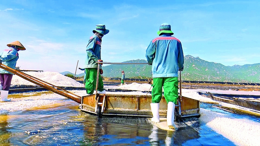 Cơ hội cho nhà đầu tư tiên phong