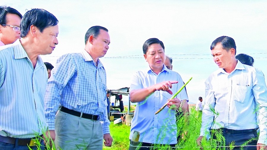 Trái ngọt trên vùng “đất khát”