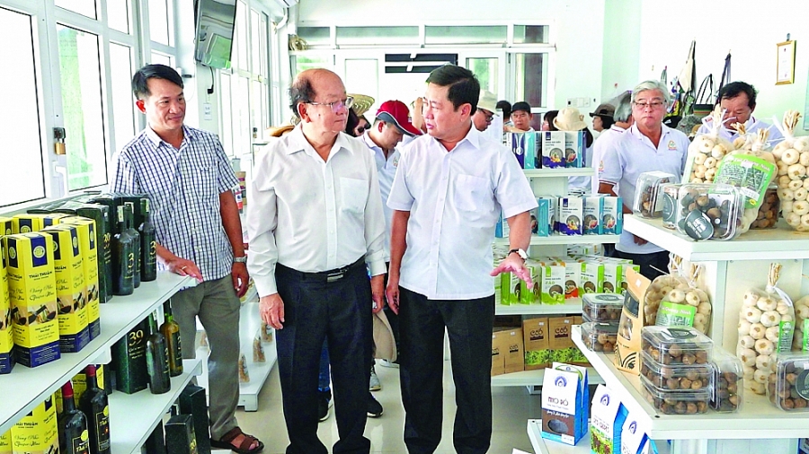 Kết nối cung- cầu hàng hóa: Đưa sản phẩm thế mạnh vươn xa