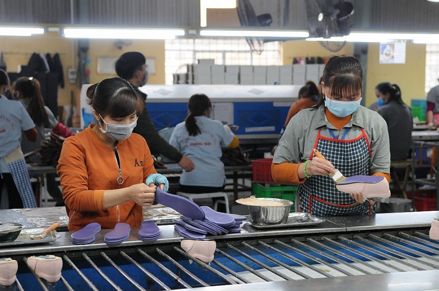 Xuất khẩu sang thị trường Anh và Bắc Ireland: Nhận thức đầy đủ về các rào cản