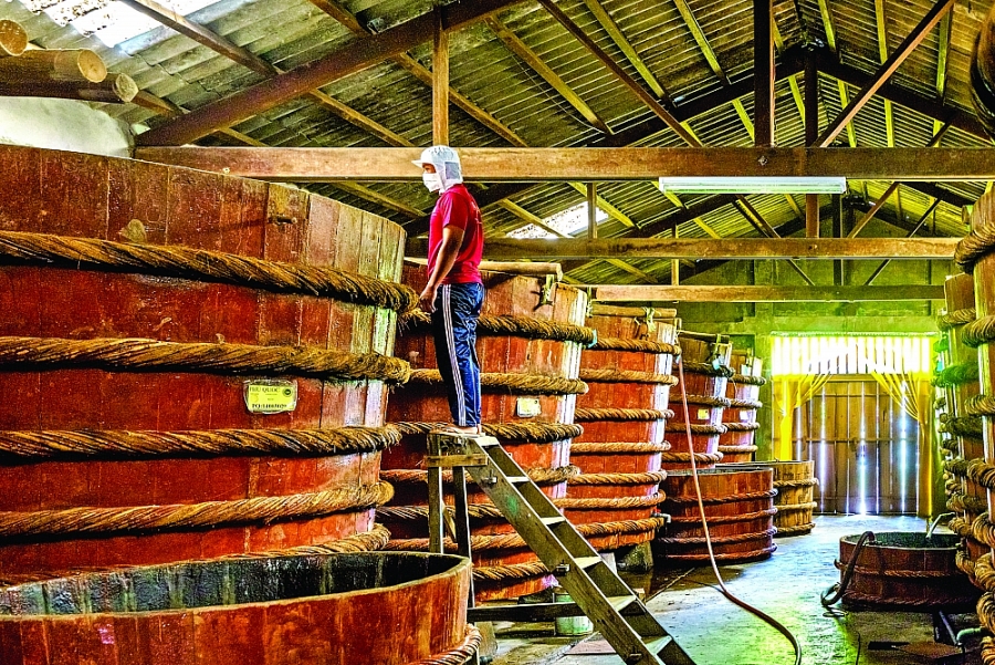 Ứng dụng công nghệ vi sinh: Giảm hàm lượng histamine trong nước mắm truyền thống