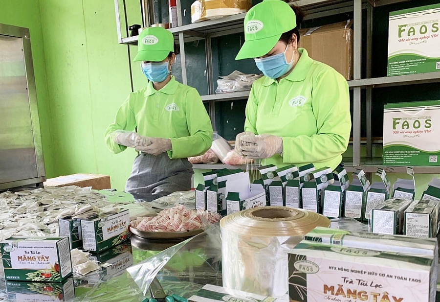 Đổi mới, phát triển kinh tế tập thể: Dấu ấn 20 năm