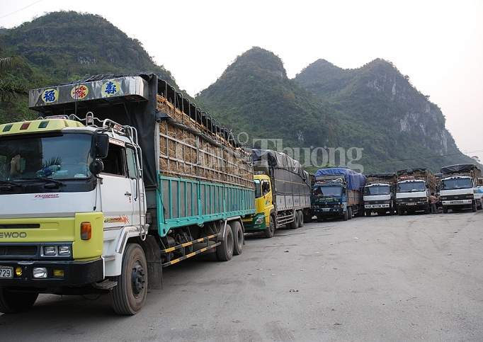 Không tư duy “đánh bạc” với thị trường xuất khẩu khong tu duy danh bac voi thi truong xuat khau