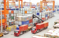 Khai thác hiệu quả cơ hội từ các Hiệp định thương mại tự do