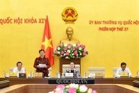 Thực sự “trưởng thành về mặt chất lượng”