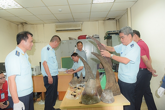 Phát hiện, bắt giữ sừng tê giác vận chuyển trái phép phat hien bat giu sung te giac van chuyen trai phep