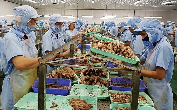 Phú Yên: Nâng cao hiệu quả công tác an toàn lao động tại các khu công nghiệp phu yen nang cao hieu qua cong tac an toan lao dong tai cac khu cong nghiep