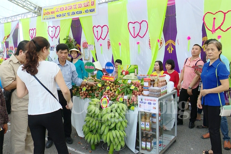 Thanh Hà cam kết tạo điều kiện tối đa cho doanh nghiệp thu mua, xúc tiến thương mại vải thiều thanh ha cam ket tao dieu kien toi da cho doanh nghiep thu mua xuc tien thuong mai vai thieu