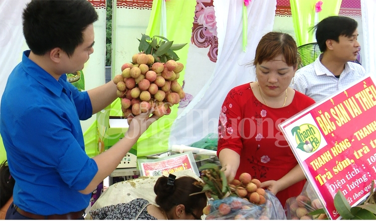 Thanh Hà cam kết tạo điều kiện tối đa cho doanh nghiệp thu mua, xúc tiến thương mại vải thiều thanh ha cam ket tao dieu kien toi da cho doanh nghiep thu mua xuc tien thuong mai vai thieu
