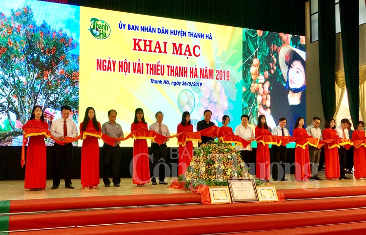 Thanh Hà cam kết tạo điều kiện tối đa cho doanh nghiệp thu mua, xúc tiến thương mại vải thiều thanh ha cam ket tao dieu kien toi da cho doanh nghiep thu mua xuc tien thuong mai vai thieu